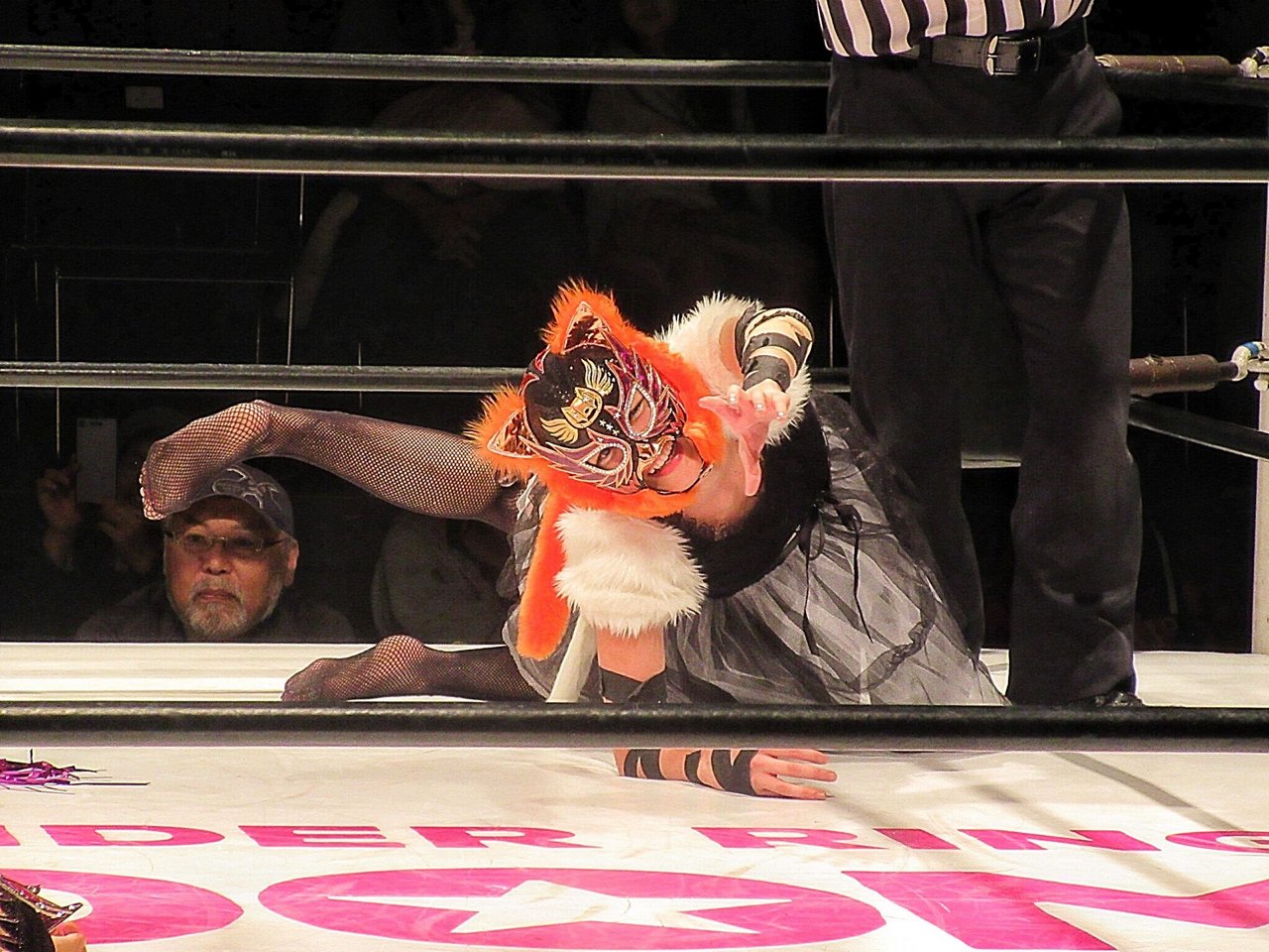 Mayu Iwatani Feet