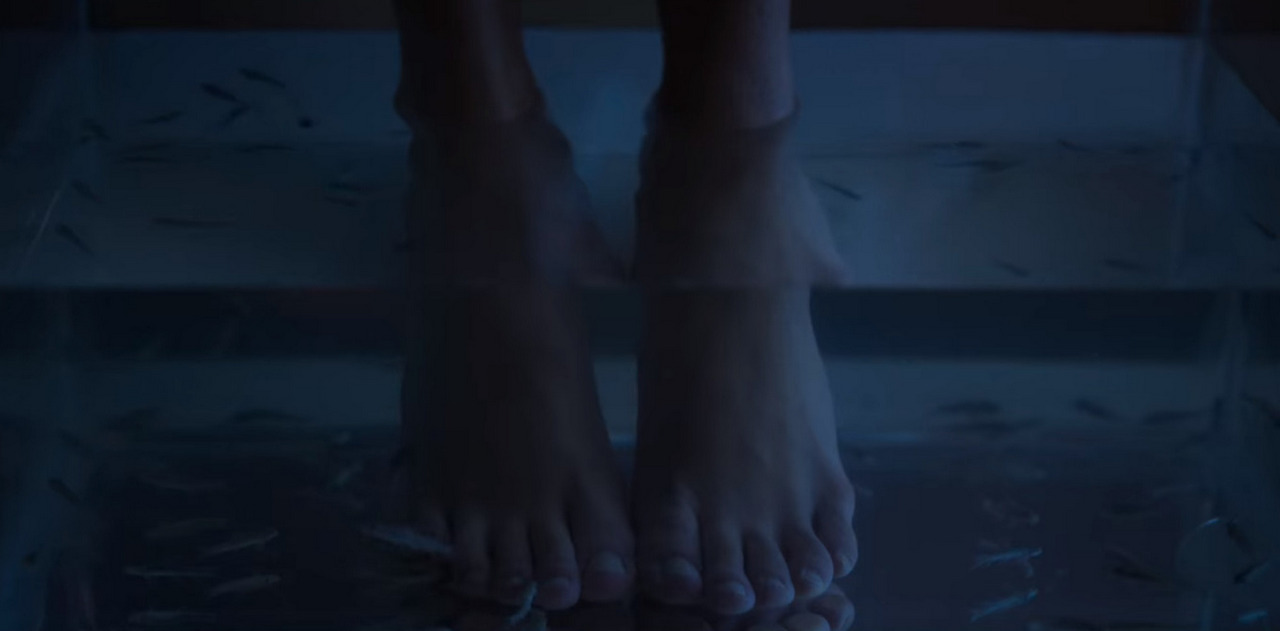 Valentina Zenere Feet