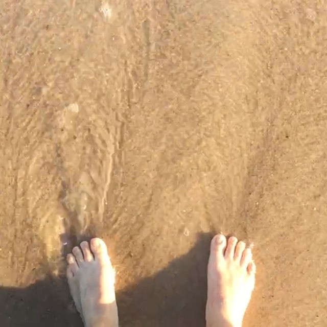 Willa Fitzgerald Feet